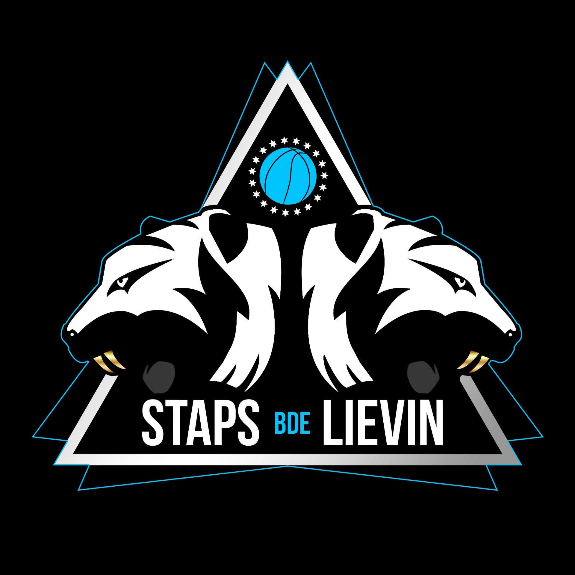 Logo Staps Liévin